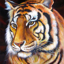 Схема вышивки «№438304»