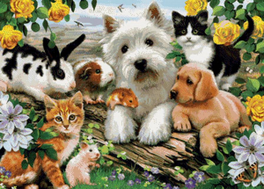 животные - котята, животные, щенки - предпросмотр