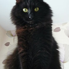 Схема вышивки «гоша»