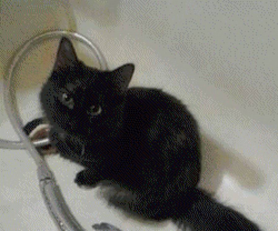 нюша - предпросмотр