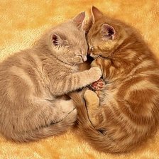 Схема вышивки «киски»