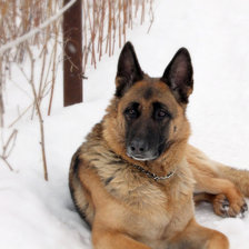 Схема вышивки «1»