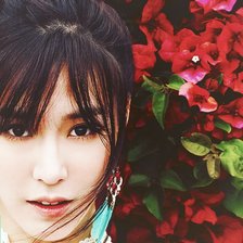 Схема вышивки «Фания»