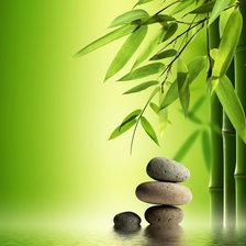 Спа-натюрморт