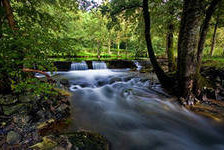 Схема вышивки «№438599»