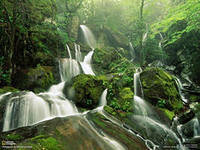 Схема вышивки «№438602»