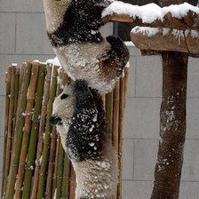 Схема вышивки «Друг всегда поможет»