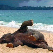 Схема вышивки «Слоненок на пляже»