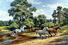 Схема вышивки «№438705»