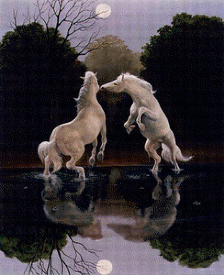 танец лошадей - двое, лошади, танец пара - предпросмотр