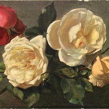 Схема вышивки «еще розы»