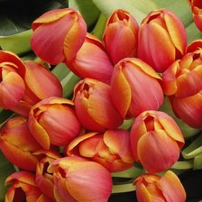 Схема вышивки «№438998»