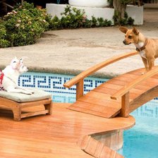 Схема вышивки «Собаки»