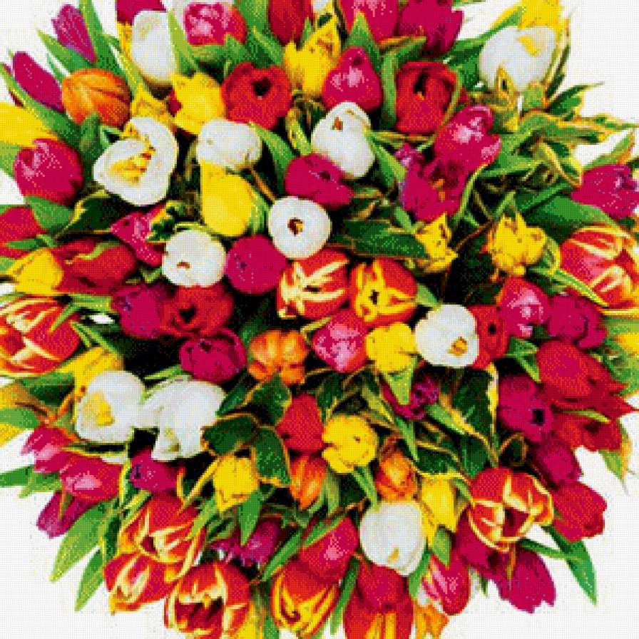 Разноцветные тюлбпаны - предпросмотр