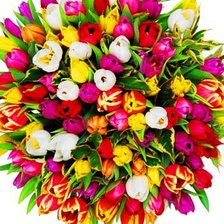 Схема вышивки «Разноцветные тюлбпаны»