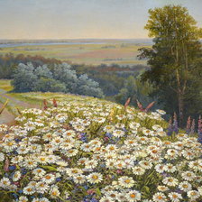 Схема вышивки «ромашковое поле»