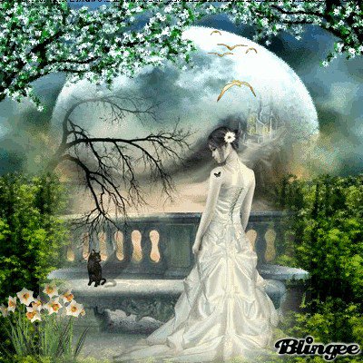 №439492 - девушки - оригинал