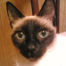 Схема вышивки «Дочка Кшися»