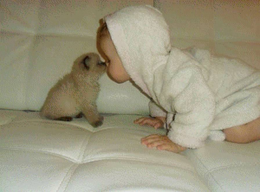 Дружба - предпросмотр