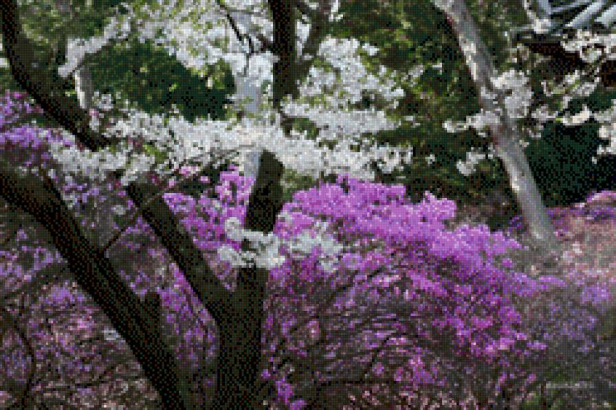 лісові дерева - ліс.природа - предпросмотр