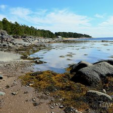 Схема вышивки «кам"яний берег»