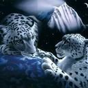 Схема вышивки «№440045»