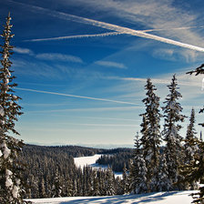 Схема вышивки «зима»