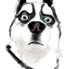 Схема вышивки «Хаски»