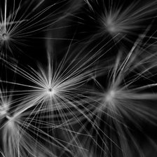 Схема вышивки «одуваны»