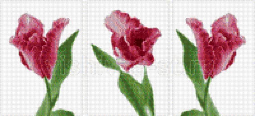 Триптих"Тюльпан" - цветы - предпросмотр