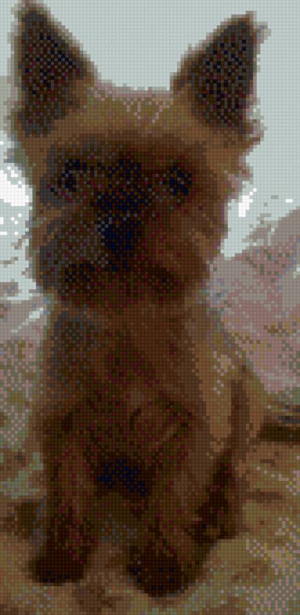 честер 2 - собачки - предпросмотр