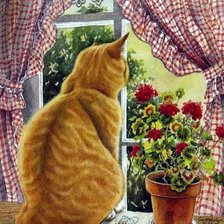 Схема вышивки «котеня»