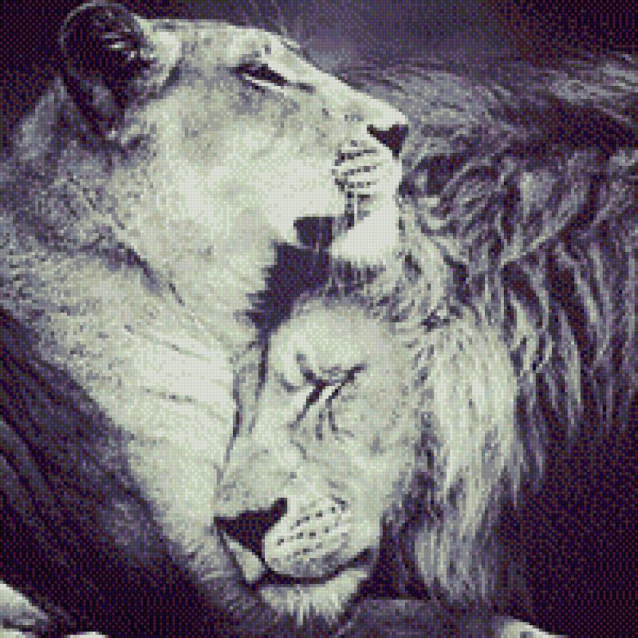 №440530 - львы, любовь, кошки - предпросмотр