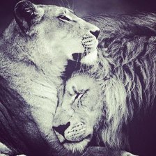 Схема вышивки «№440530»