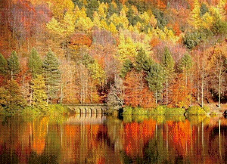 осень - природа, осень, деревья, вода, пейзаж - предпросмотр