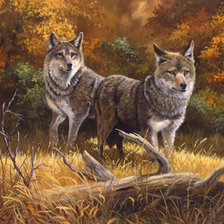 Схема вышивки «0146»