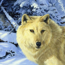 Схема вышивки «0147»