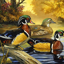 Схема вышивки «0150»