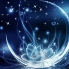 Схема вышивки «Луна и лилии»