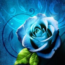 Схема вышивки «Голубая роза»
