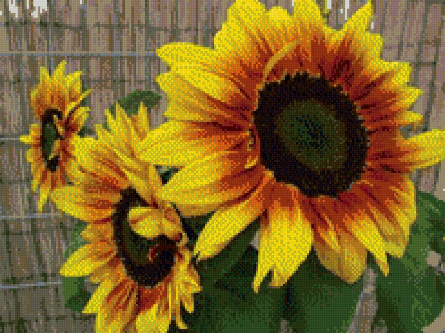 №440760 - предпросмотр