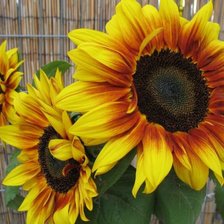 Схема вышивки «№440760»