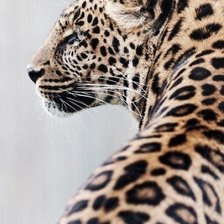 Схема вышивки «№23»