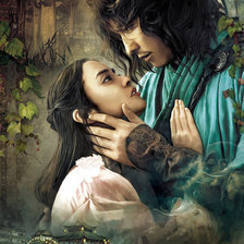 Схема вышивки «Азиатская пара»