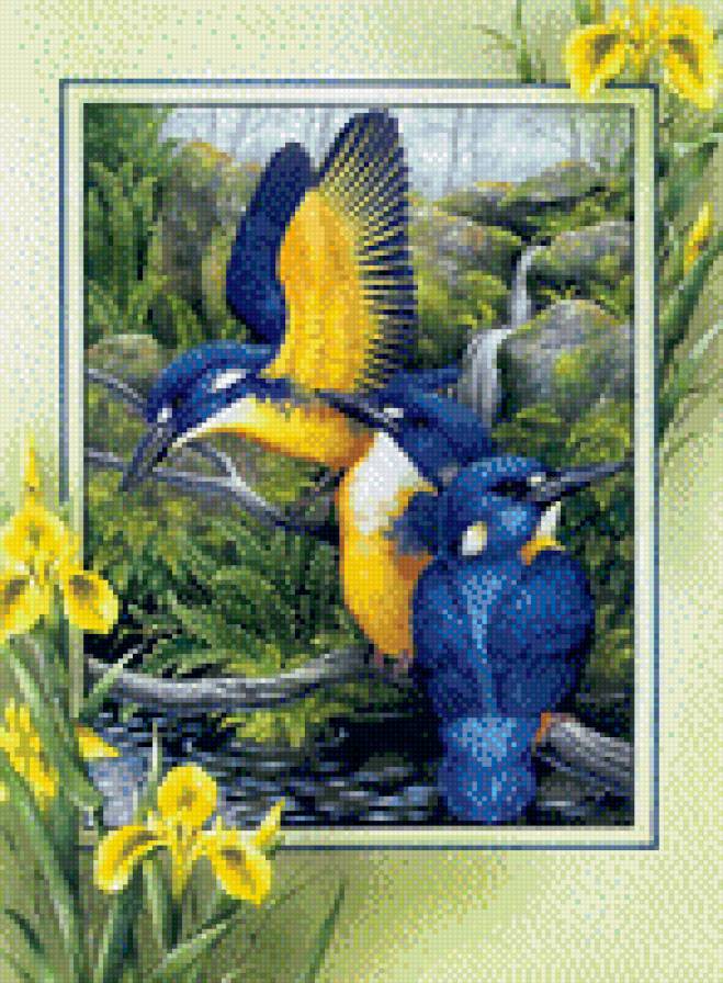 Птички - птицы, природа - предпросмотр