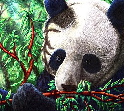 Панда - животные, панда, медведи - оригинал