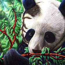 Схема вышивки «Панда»