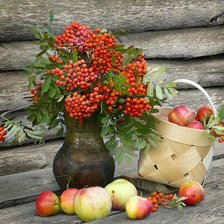 Схема вышивки «Сельский натюрморт с рябиной»