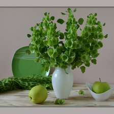 Схема вышивки «Зеленый натюрморт»