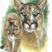 Схема вышивки «Большие Кошки»